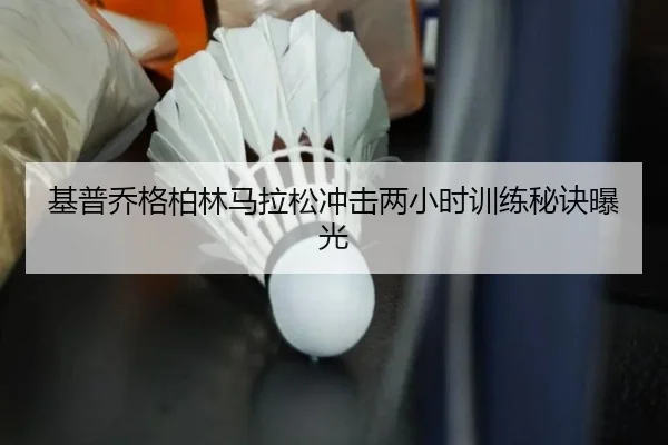 ji-pu-qiao-ge-bo-lin-ma-la-song-chong-ji-liang-xiao-shi-xun-lian-mi-jue-bao-guang-3-437.jpg