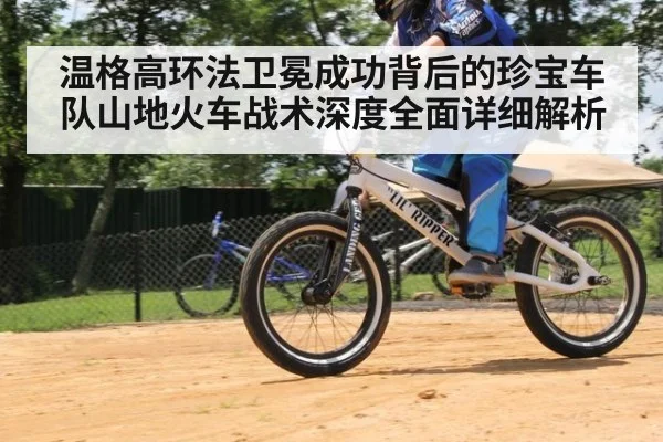 温格高环法卫冕成功背后的珍宝车队山地火车战术深度全面详细解析