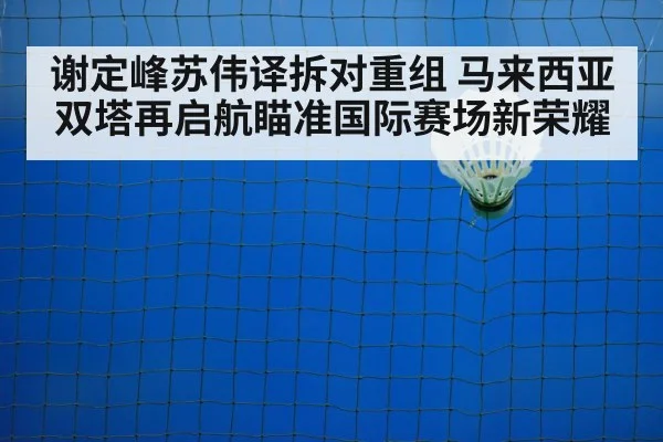 谢定峰苏伟译拆对重组 马来西亚双塔再启航瞄准国际赛场新荣耀